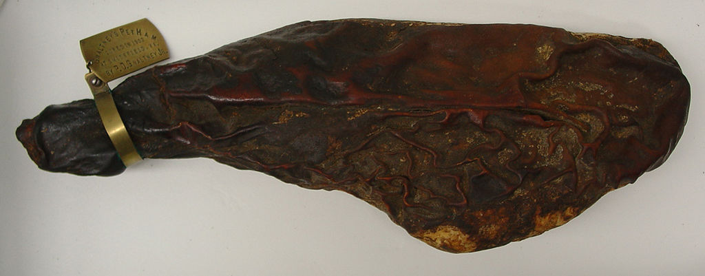 World&rsquo;s oldest ham, image from Wikimedia Commons.